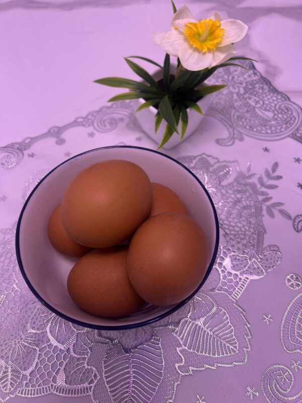 Egg